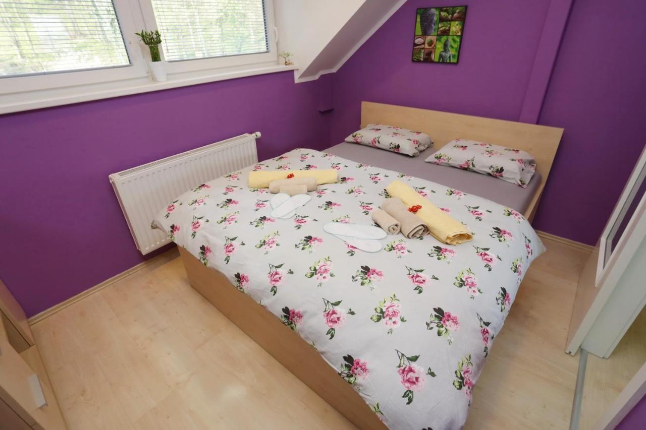 Lux Living Apartments Budic Near Terme Catez Brežice Eksteriør bilde