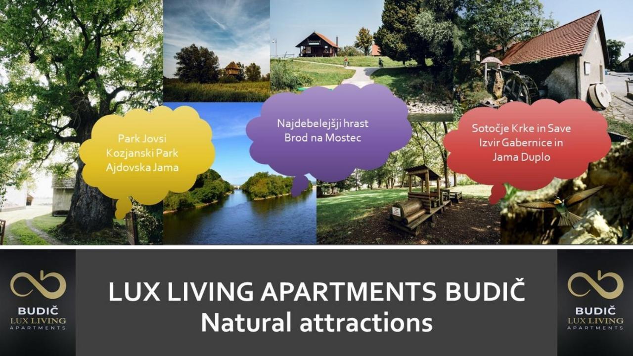 Lux Living Apartments Budic Near Terme Catez Brežice Eksteriør bilde