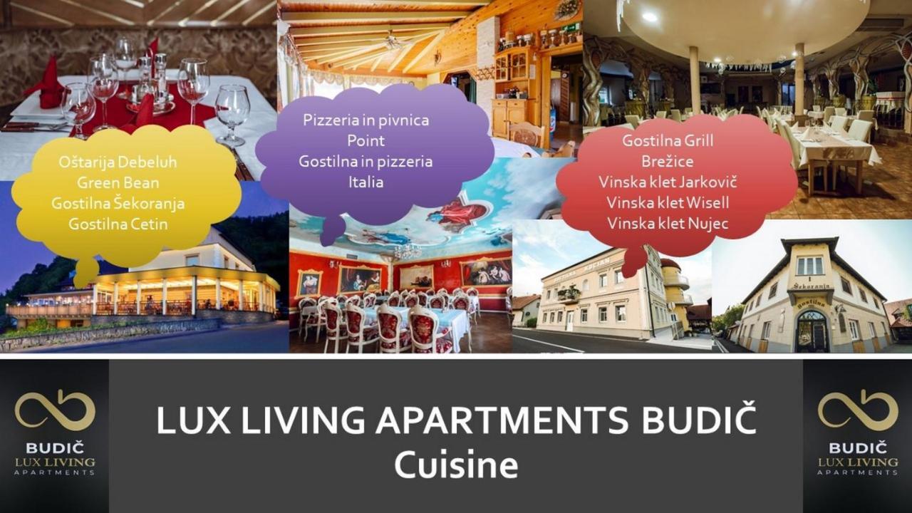 Lux Living Apartments Budic Near Terme Catez Brežice Eksteriør bilde